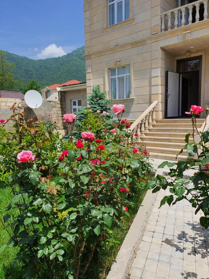 Viva Hotel Gabala With Outdoor Pool ,Sauna And Waterfall Qəbələ Exterior foto