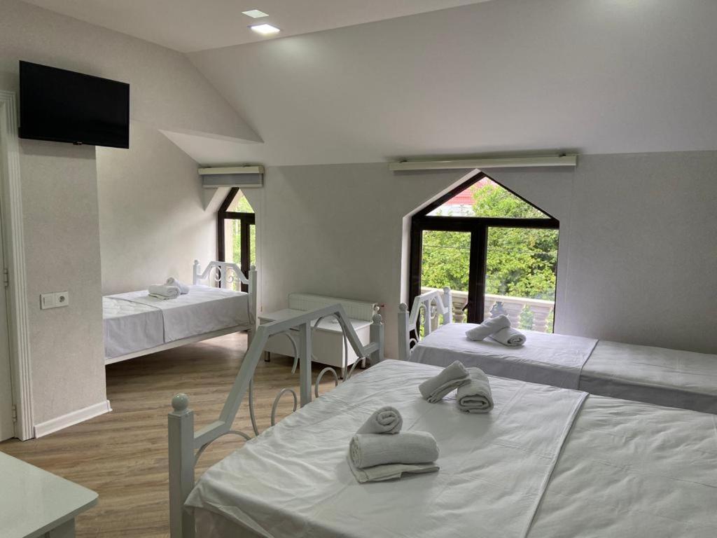 Viva Hotel Gabala With Outdoor Pool ,Sauna And Waterfall Qəbələ Exterior foto